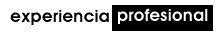 EXPERIENCIA PROFESIONAL